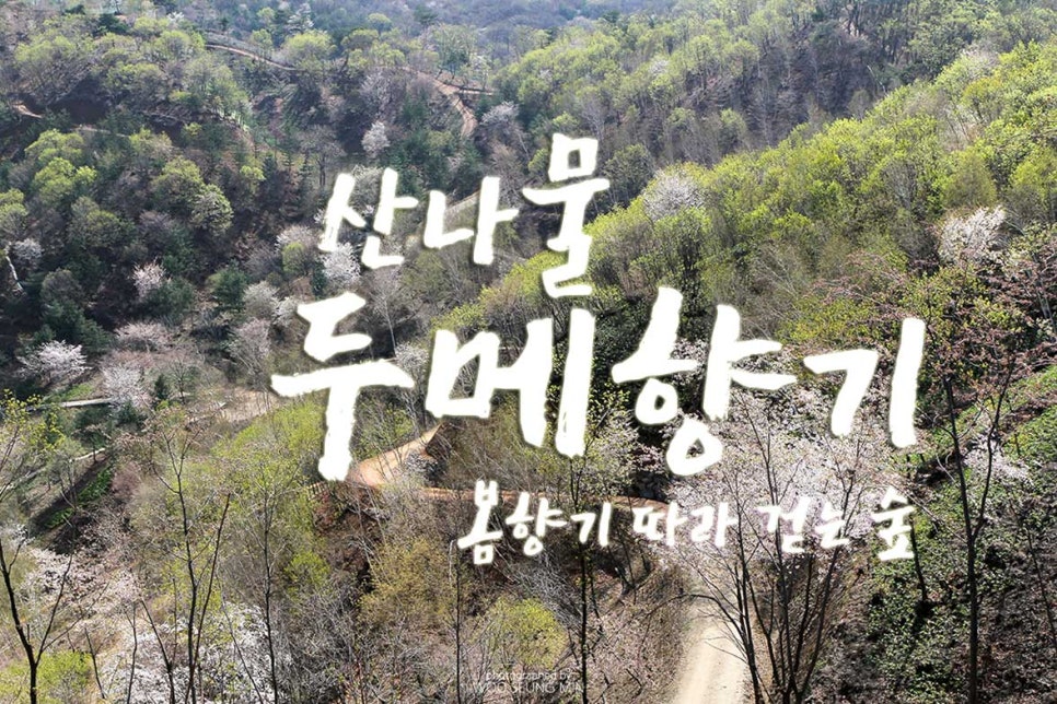 두메(DUME) 이미지