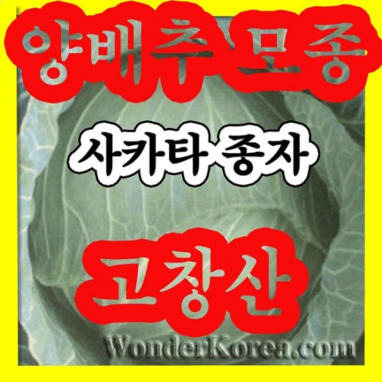흑둔지 푸드 이미지