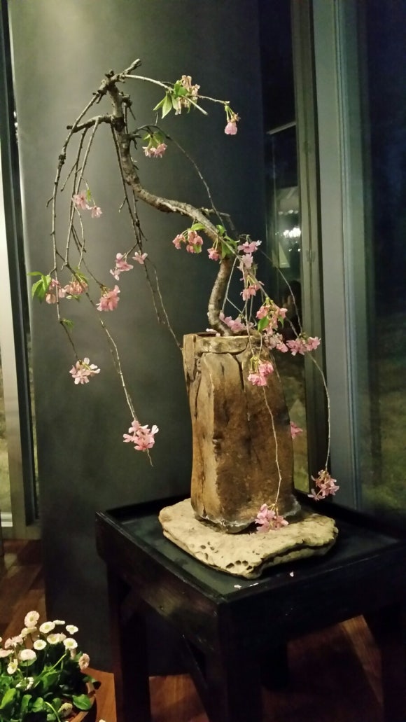 도도농장 이미지
