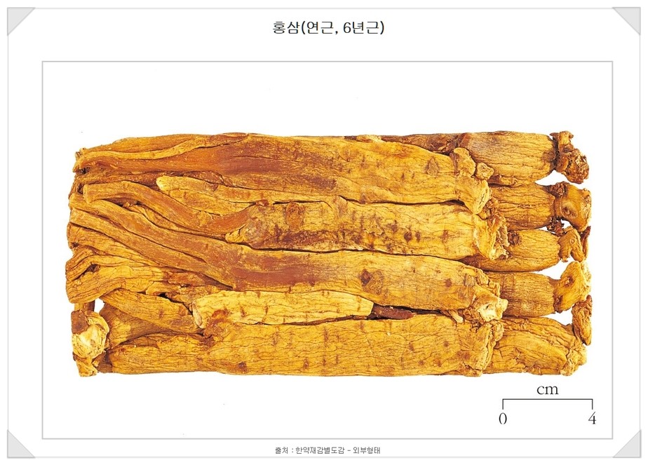백삼환경기술 이미지