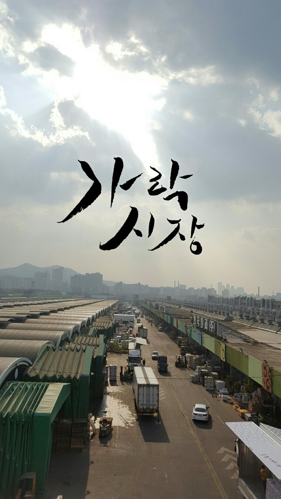 다농마트농수산 이미지