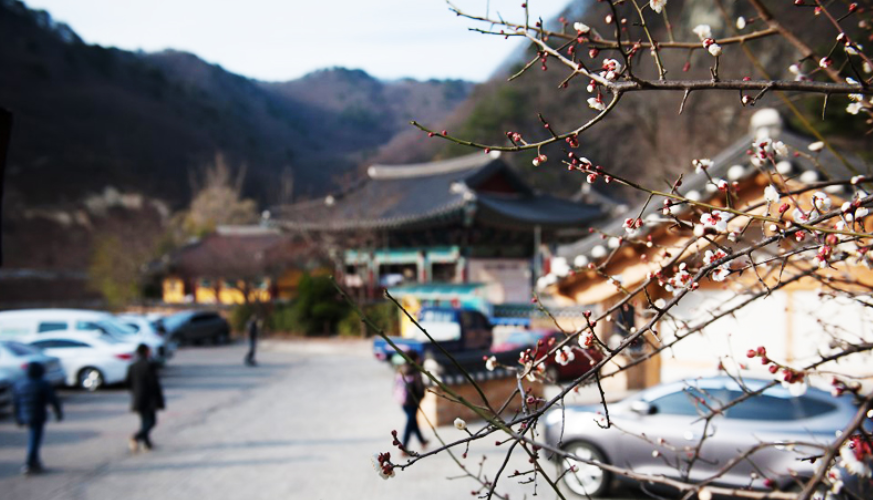 오어사부동산 이미지