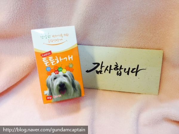 이루다컴퍼니 이미지