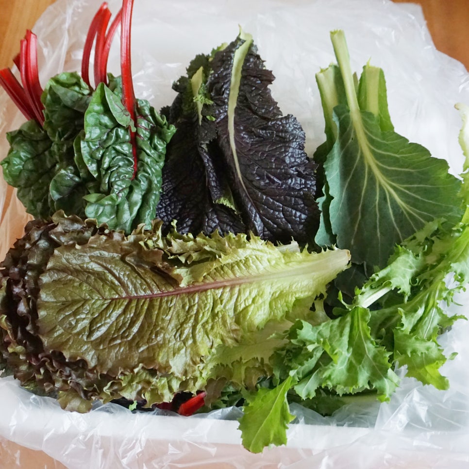 맛난당 이미지