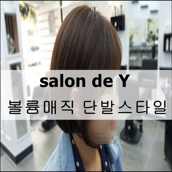 살롱드와이 이미지