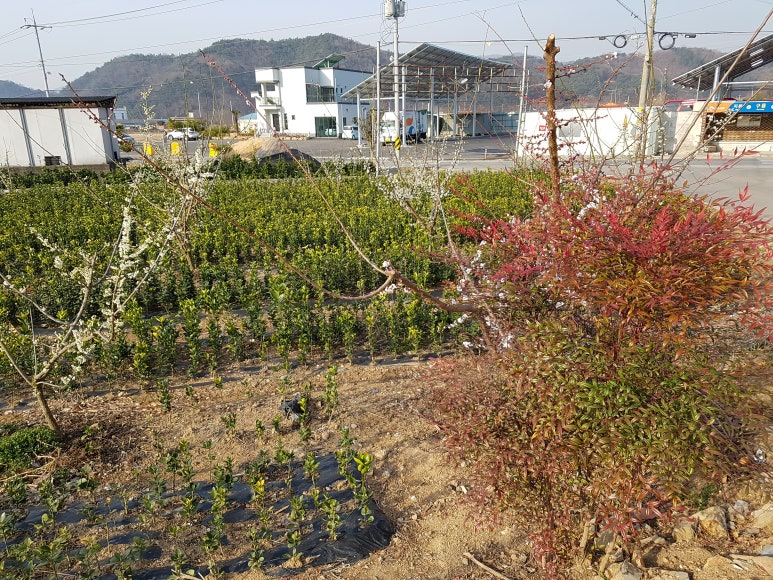 오성농원 이미지