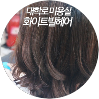 화이트빌헤어 이미지