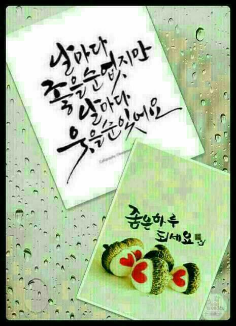 홀마트 이미지