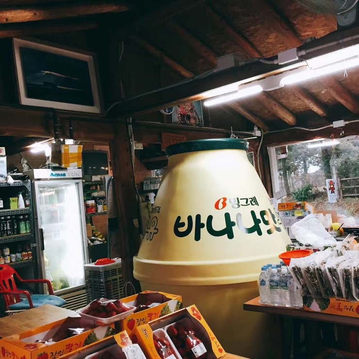 세종관 이미지