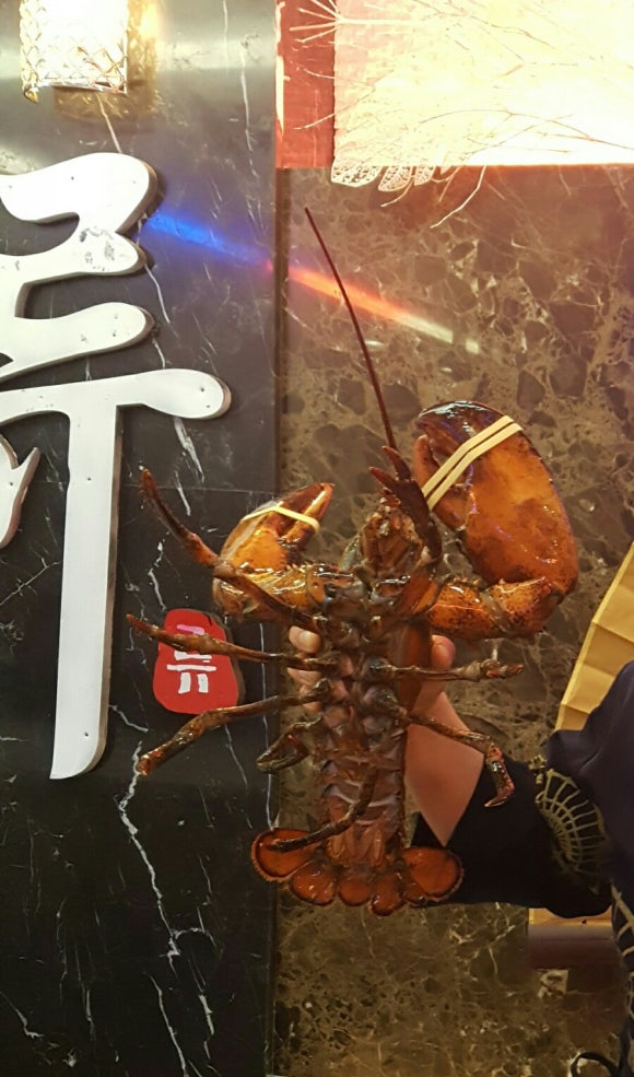 류참치 이미지