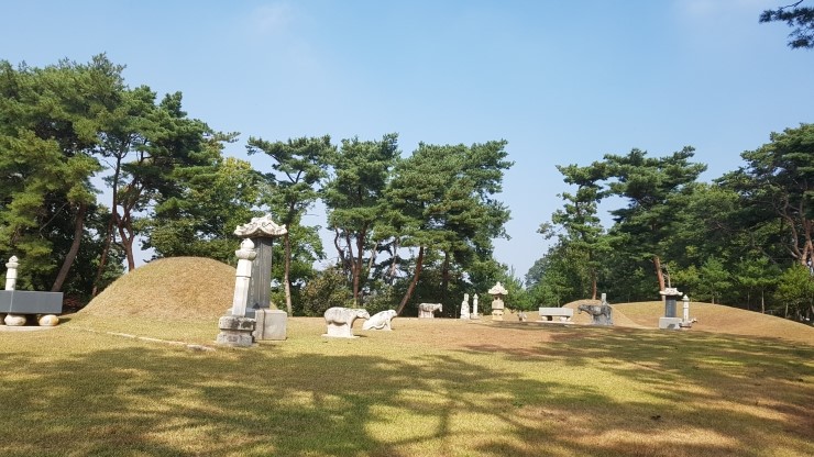 세손아이 이미지