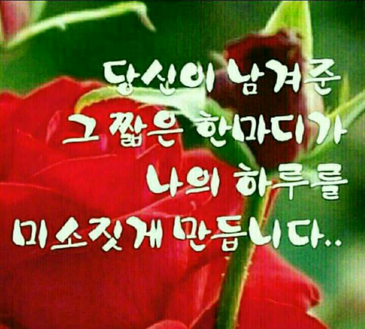 아르웬 이미지