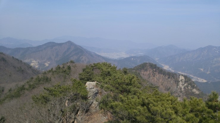 장령산훼미리 이미지