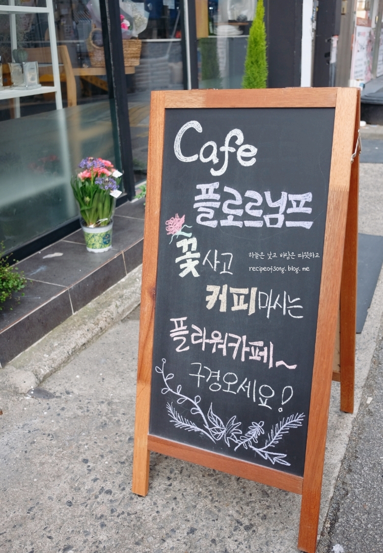 님프플라워 이미지