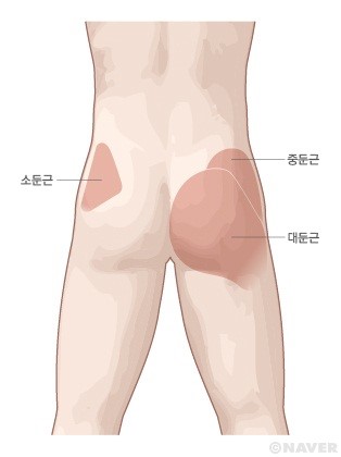 몬스터핏189 이미지