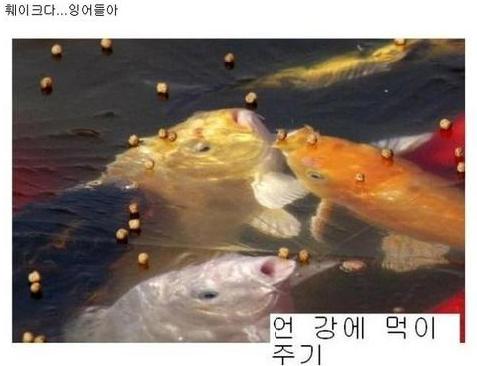 비엔나미용실 이미지