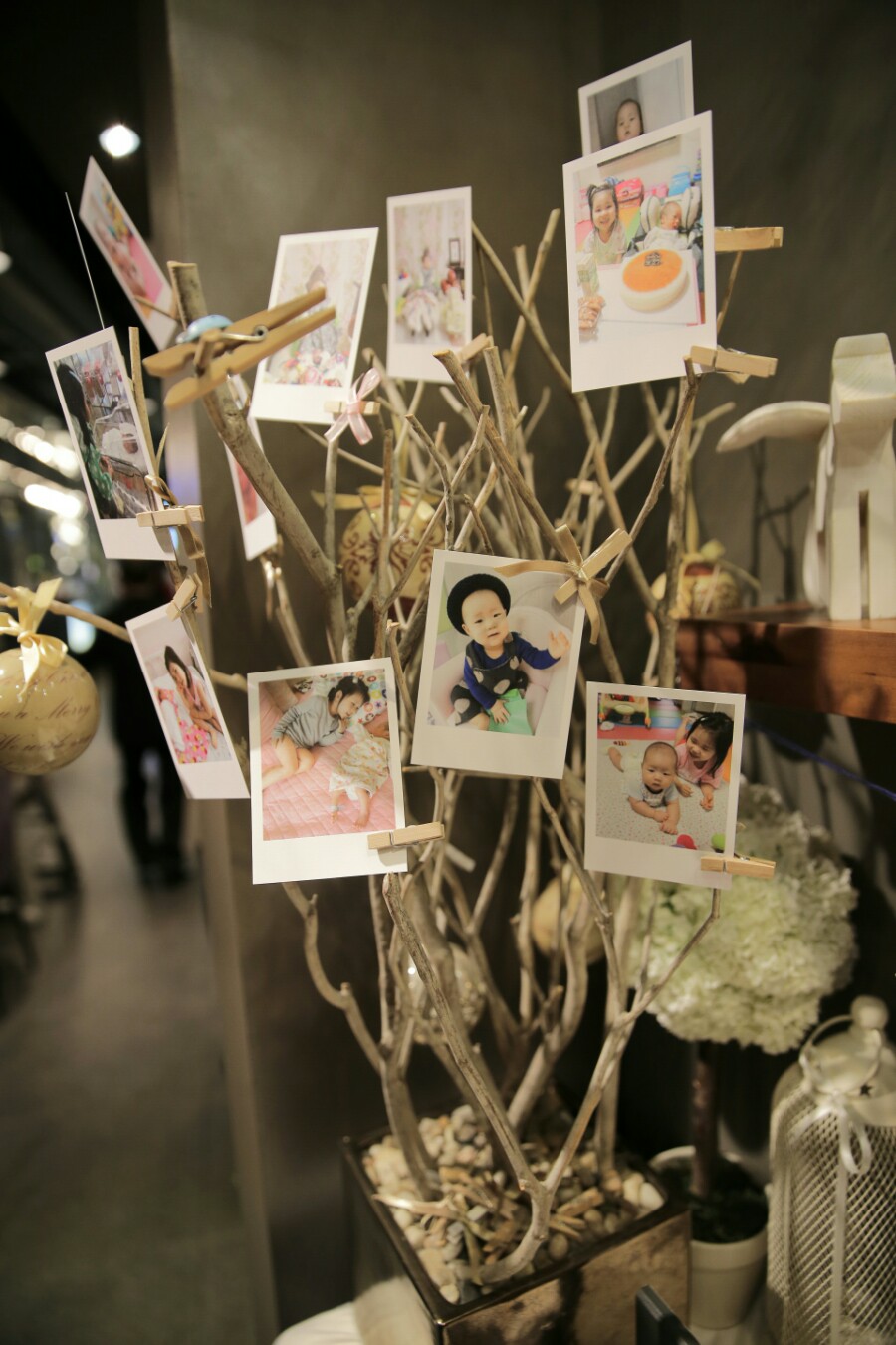 이룸앨범 이미지