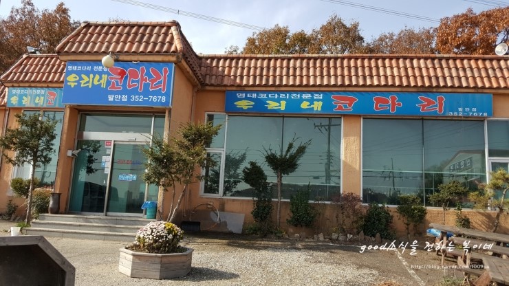우리네코다리 이미지