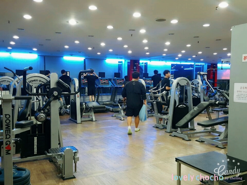 앨바트로휘트니스 이미지