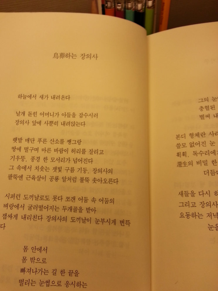 호수장의사 이미지