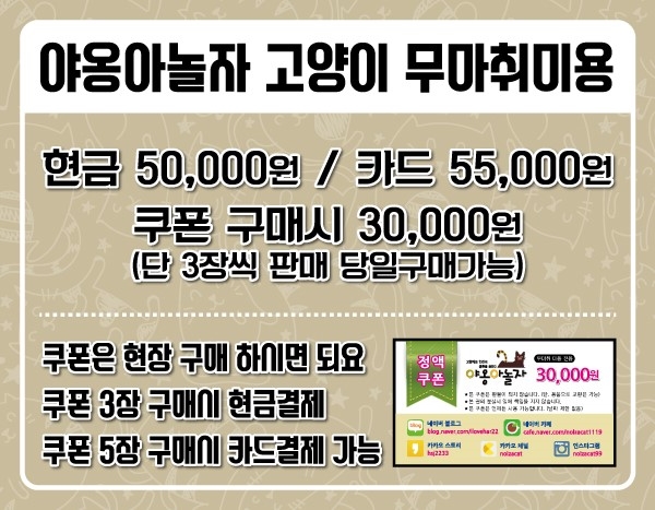 야옹아놀자 이미지