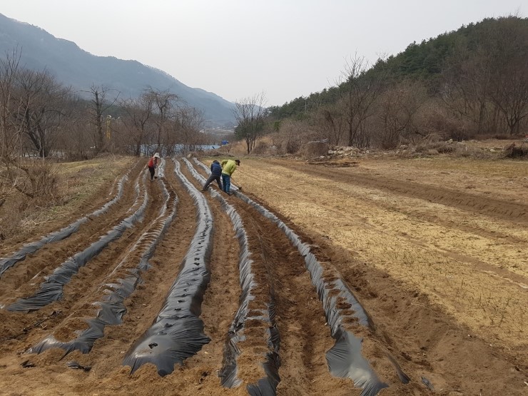 고고 비닐 이미지