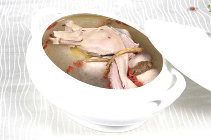 황제오리 이미지