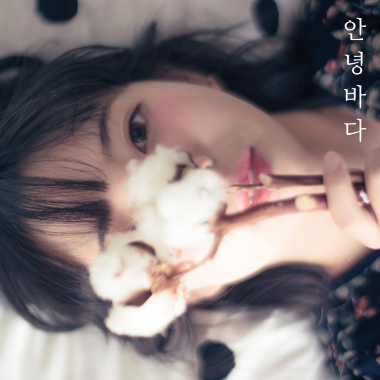 주식회사 바다랑 이미지