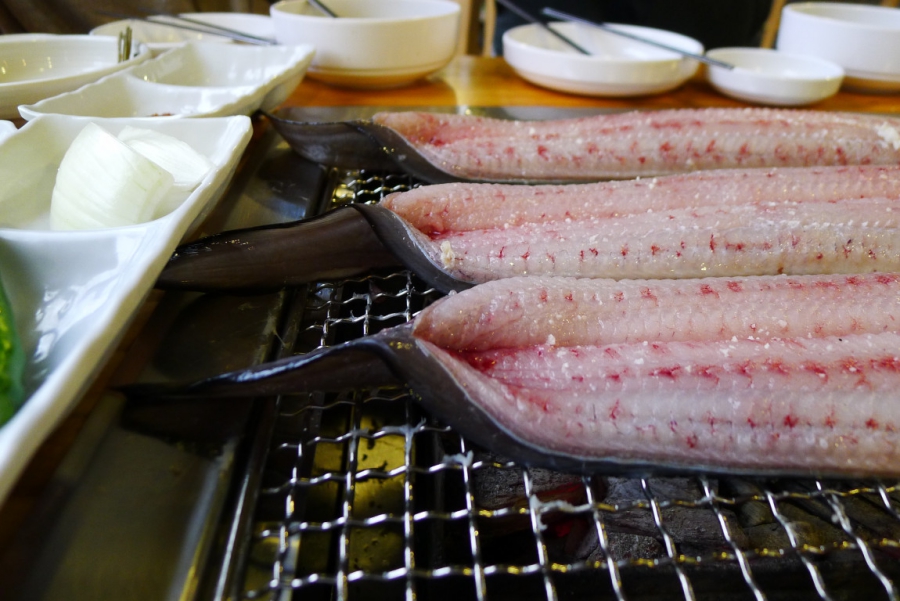 고창풍천민물장어 이미지