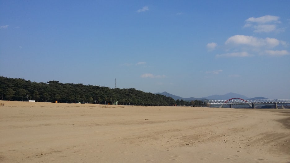 벚굴식당 이미지