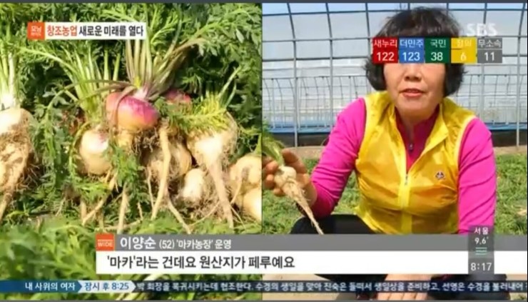 단비네가게 이미지