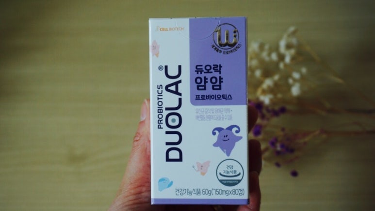 데일리얌얌 이미지