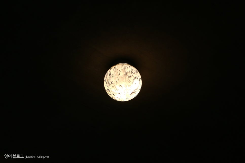 문MOON 이미지