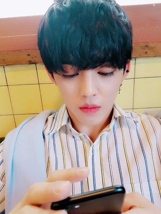 최씨형제 이미지