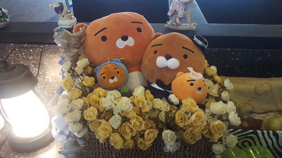 꽃밭에는꽃들이 이미지