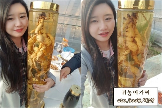 초석농장 이미지