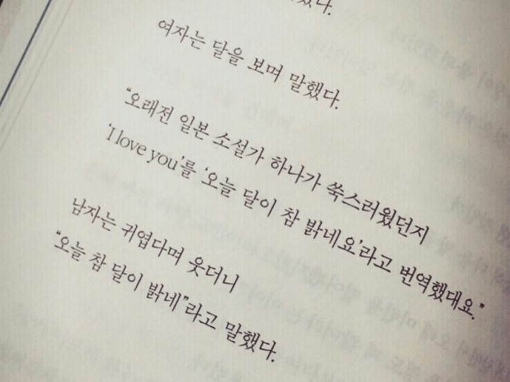 오늘도너는예쁘다 이미지