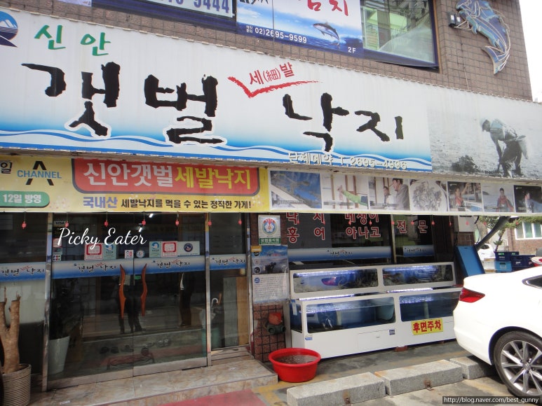 신안갯벌세발낙지 이미지