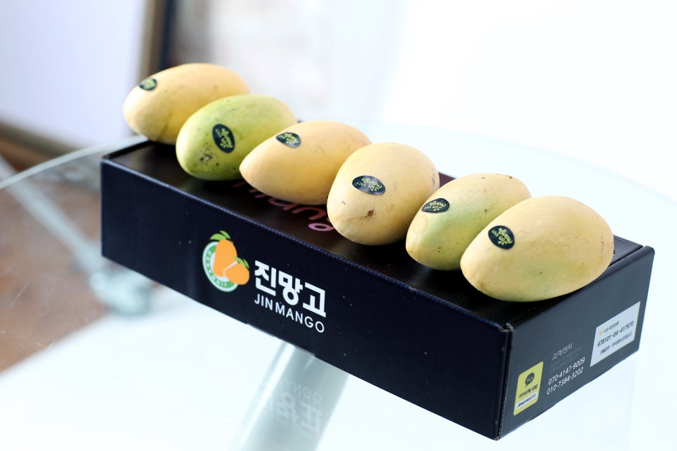 대전진 이미지