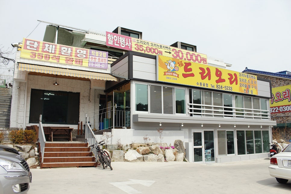 복드리오리 이미지
