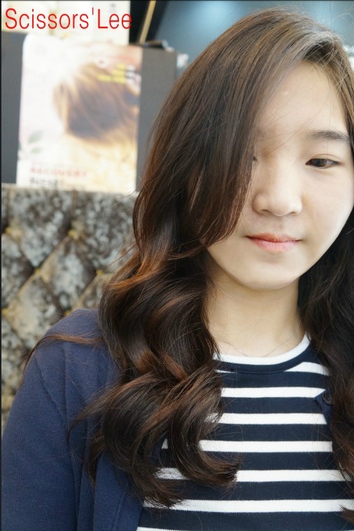 시저리 이미지