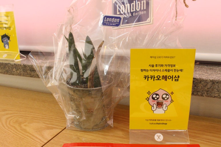 은아헤어살롱 이미지
