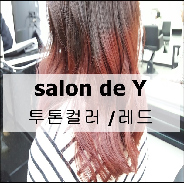 살롱드와이 이미지