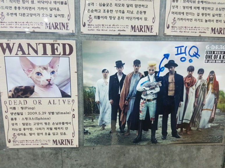 헤어애봄 이미지