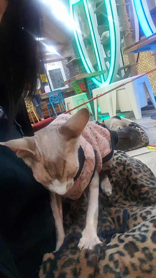 헤어애봄 이미지