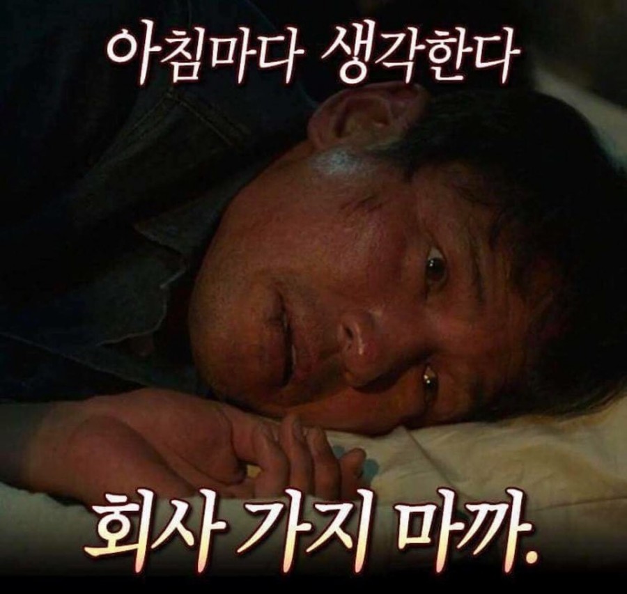 3지구단지보쌈 이미지