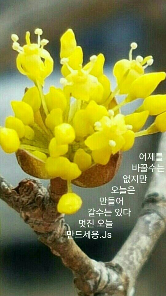 제이모 이미지