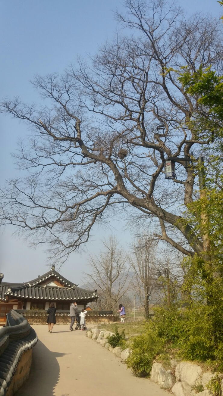 놋전마을 이미지