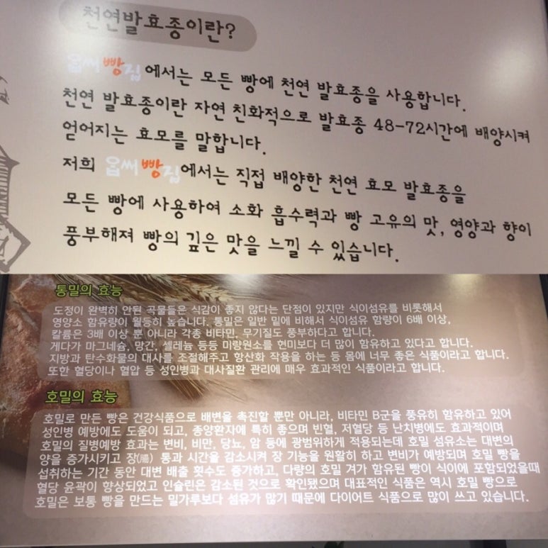 옵써빵집 이미지