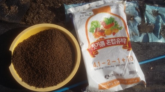 왕베리농원 이미지